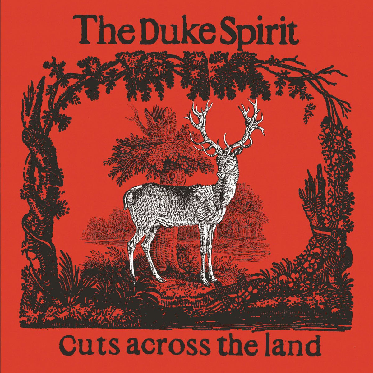 The Duke Spirit – Cuts Across the Land (Deluxe) vinyl record cover