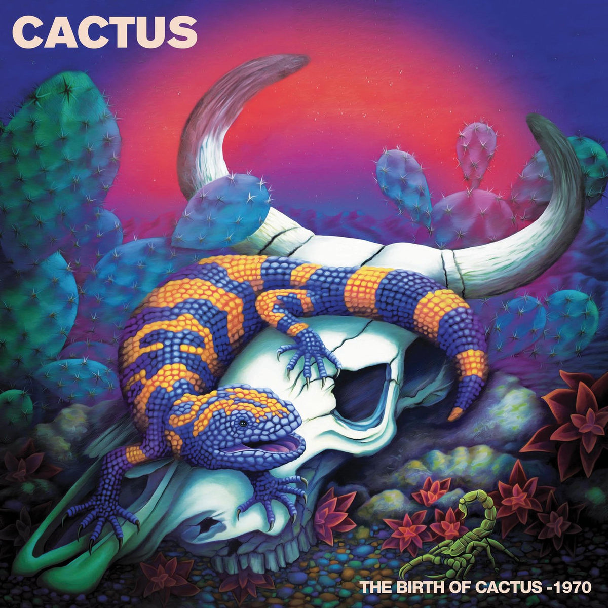 Cactus – The Birth of Cactus - 1970 (Live) vinyl cover