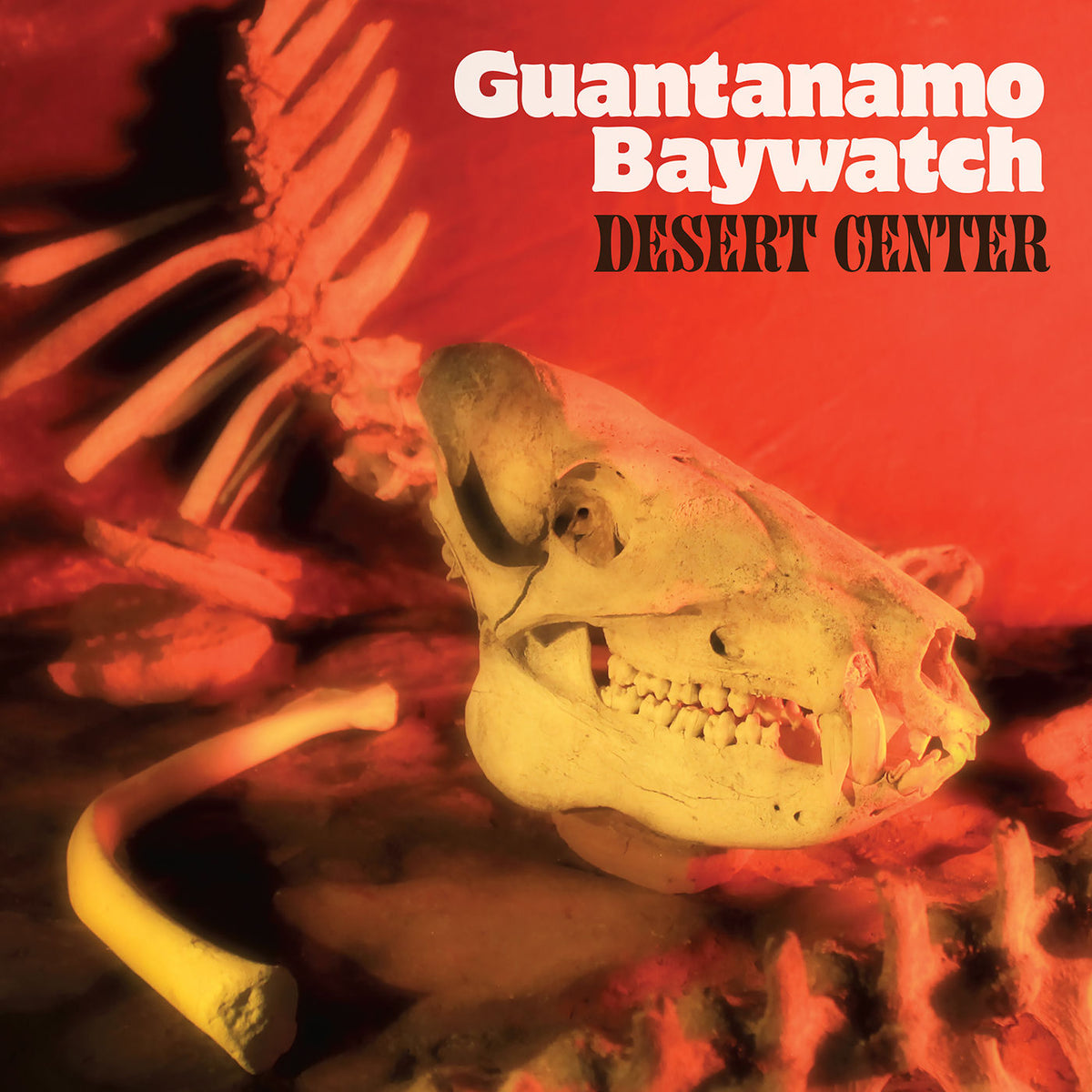 Guantanamo Baywatch – Desert Center vinyl record cover