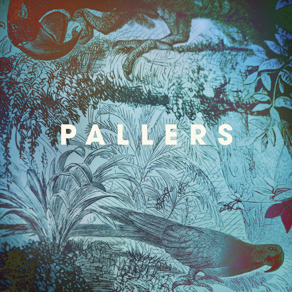 Pallers – The Sea of Memories vinyl record cover