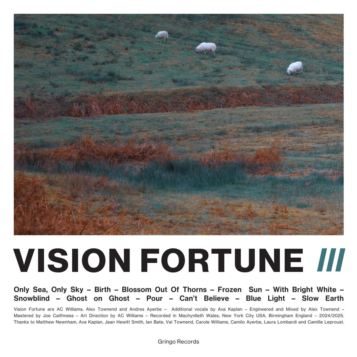 Vision Fortune – III vinyl cover