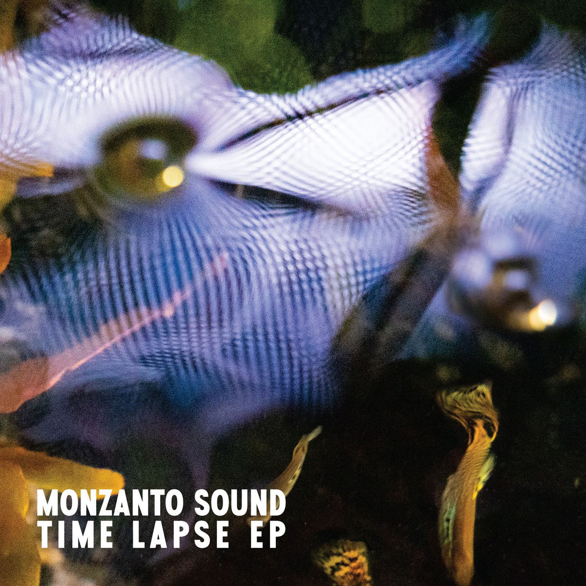 Monzanto Sound – Time Lapse EP vinyl cover