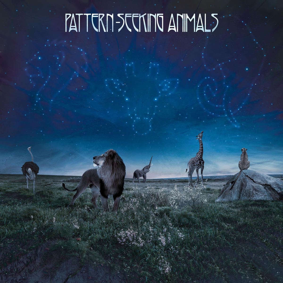 Pattern-Seeking Animals – Pattern-Seeking Animals vinyl record cover