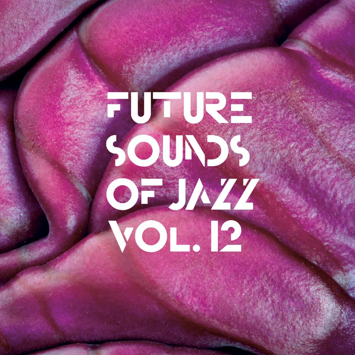 Various Artists – Future Sounds of Jazz Vol. 12 — record image 1