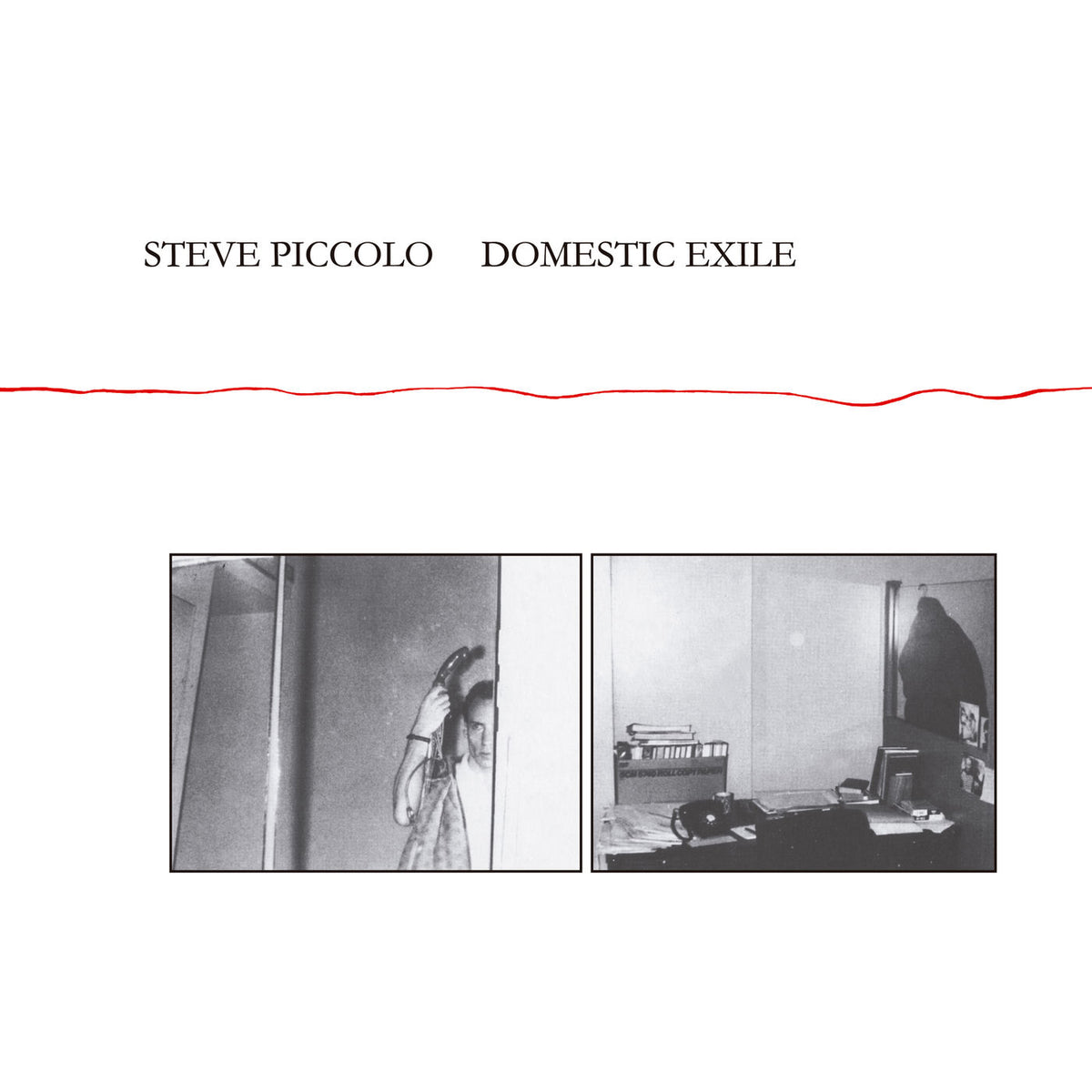 Steve Piccolo – Domestic Exile vinyl record cover