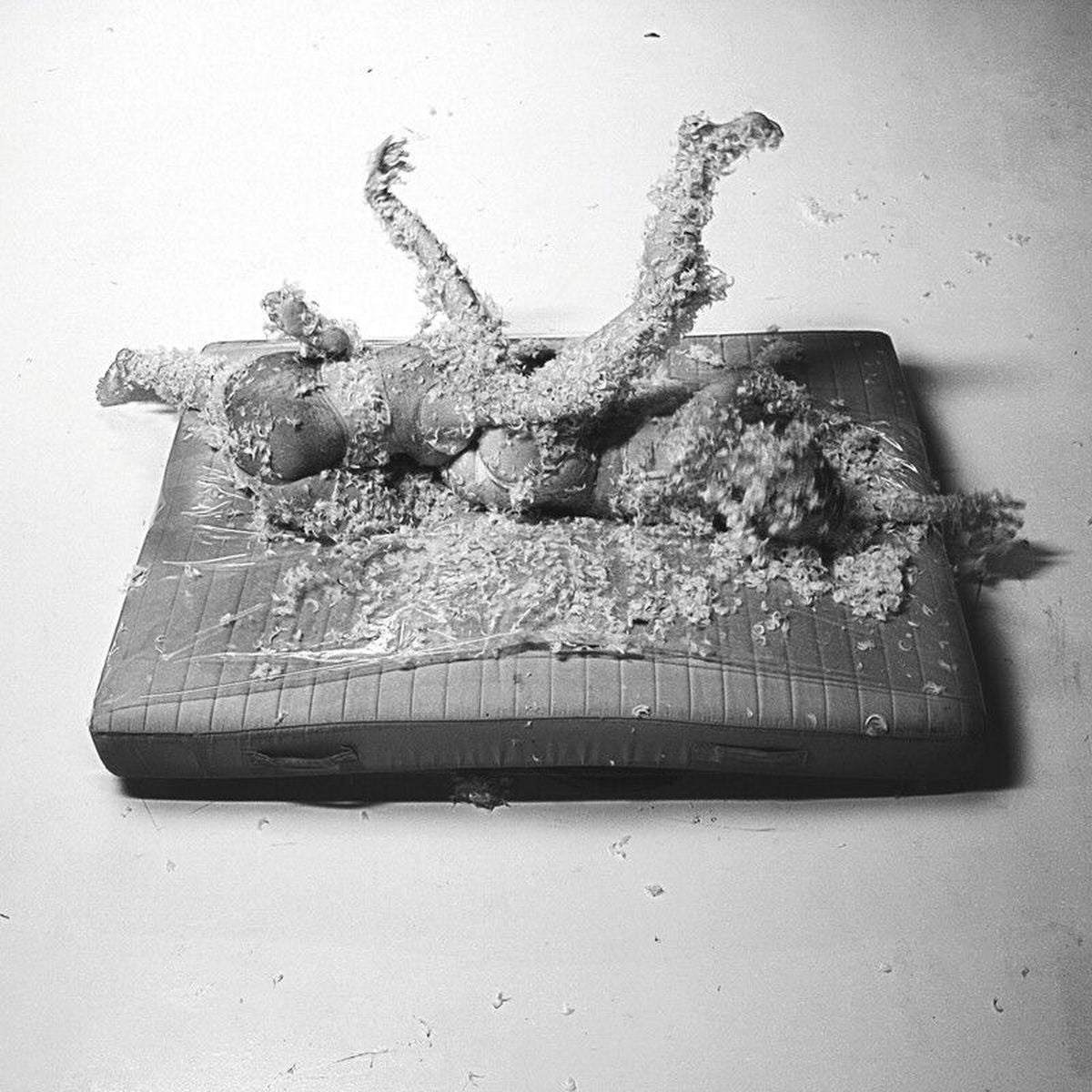 Mammut – Komdu Til Min Svarta Systir (+ DL) vinyl record cover
