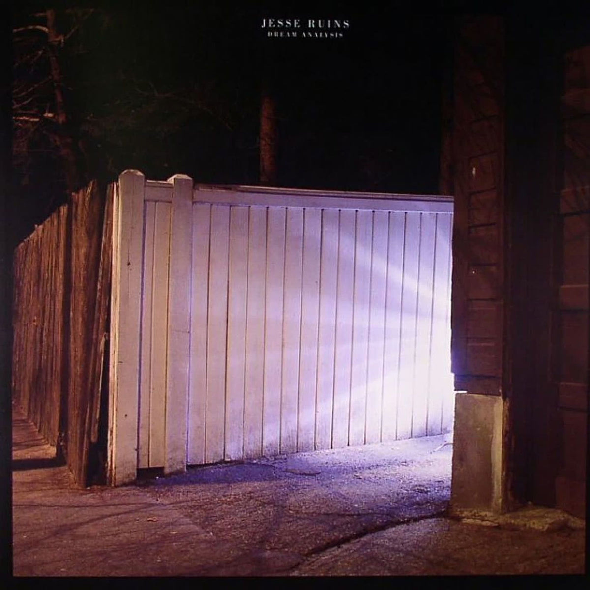 Jesse Ruins – Dream Analysis vinyl cover