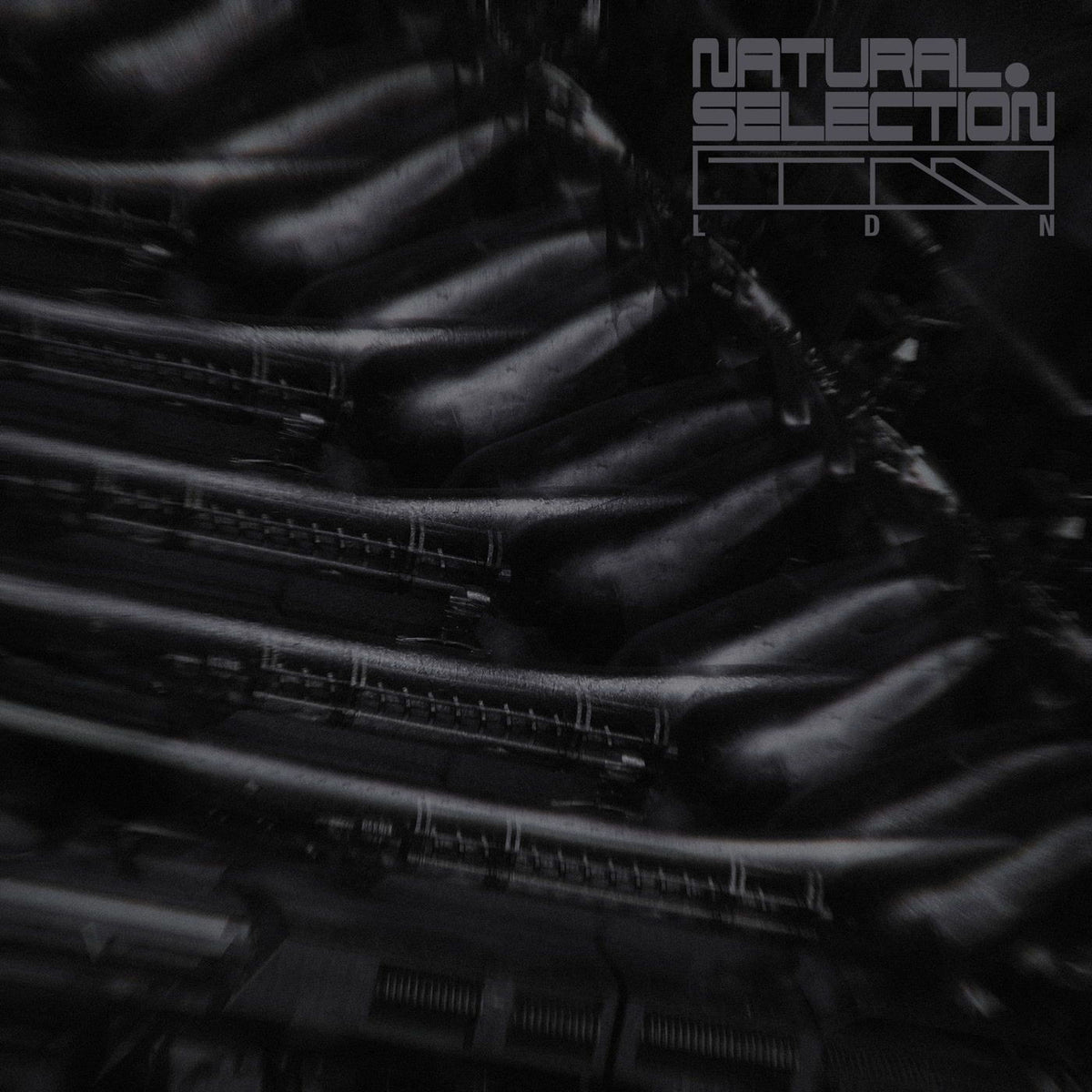 Swarm Intelligence – Radiance EP vinyl cover