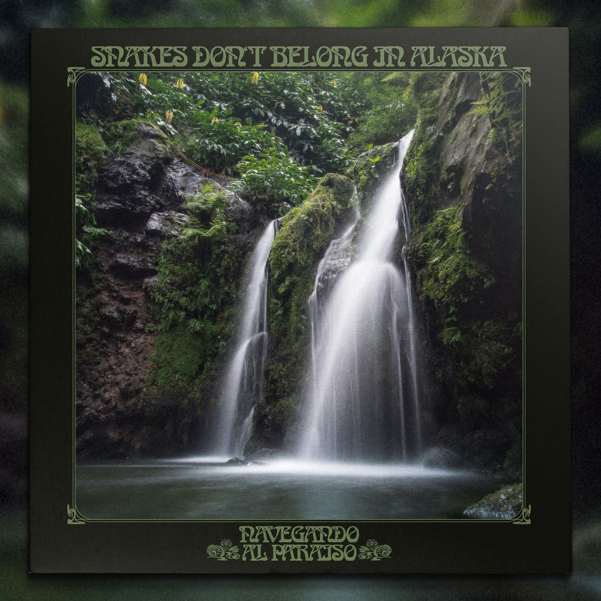 Snakes Dont Belong In Alaska – Navegando Al Paraiso vinyl record cover