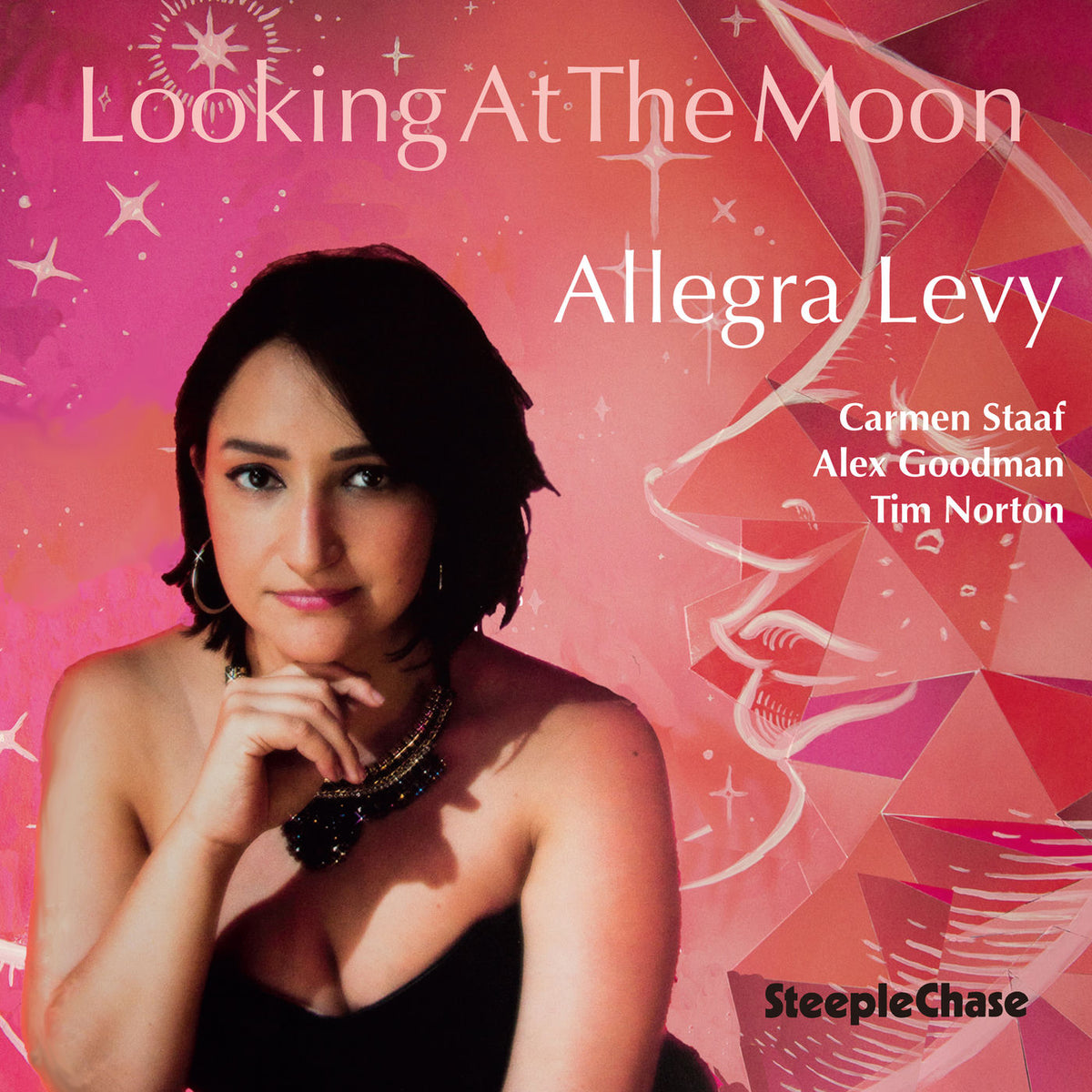 Allegra Levy – Looking at the Moon vinyl record cover