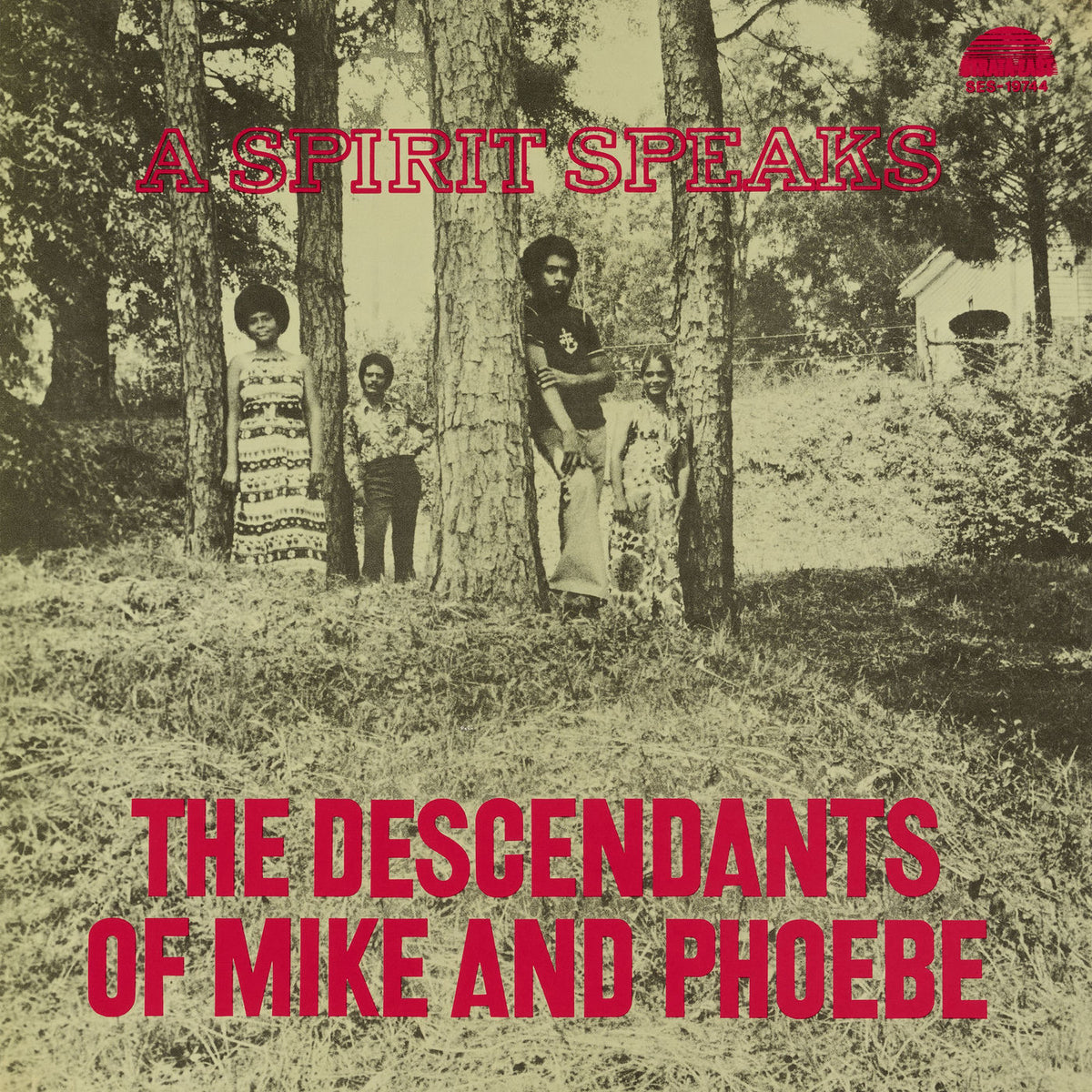 Descendants Of Mike And Phoebe – A Spirit Speaks vinyl record cover