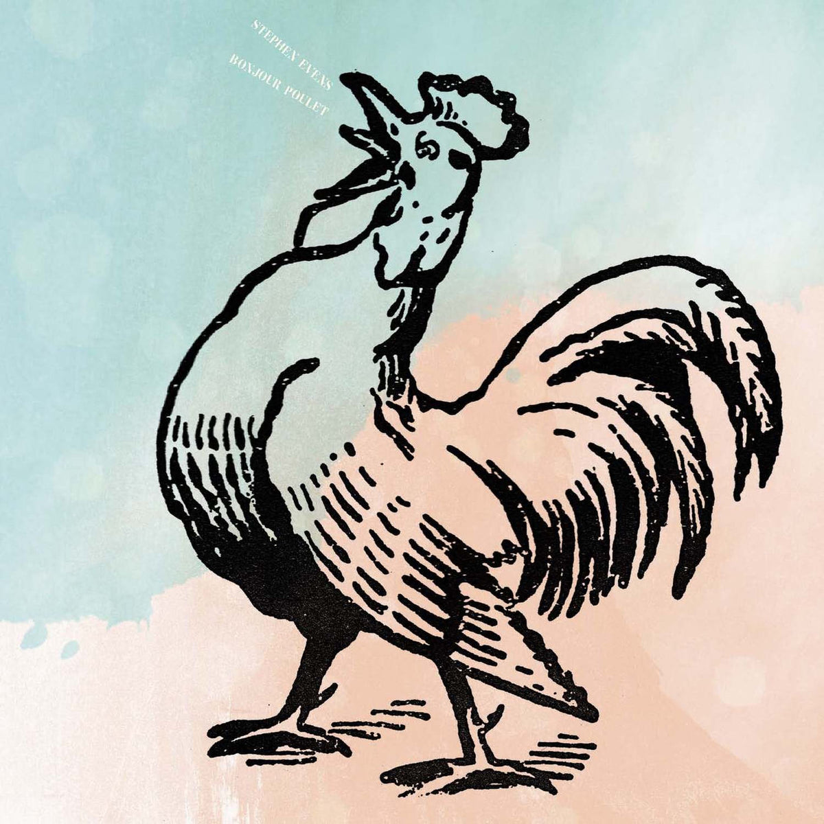 Stephen EvEns – Bonjour Poulet vinyl cover