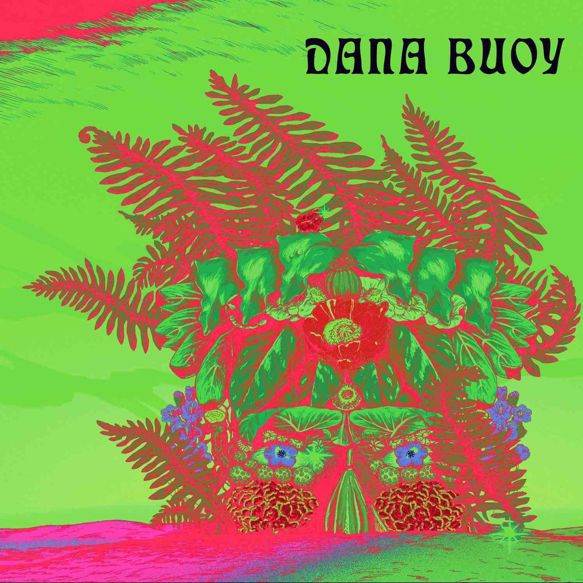 Dana Buoy – Experiments in Plant Based Music, Vol. 1 vinyl cover