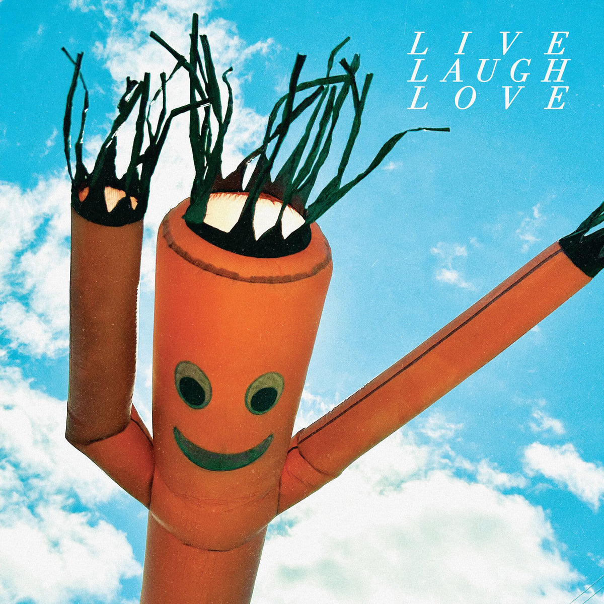 Chastity Belt – Live Laugh Love vinyl record cover