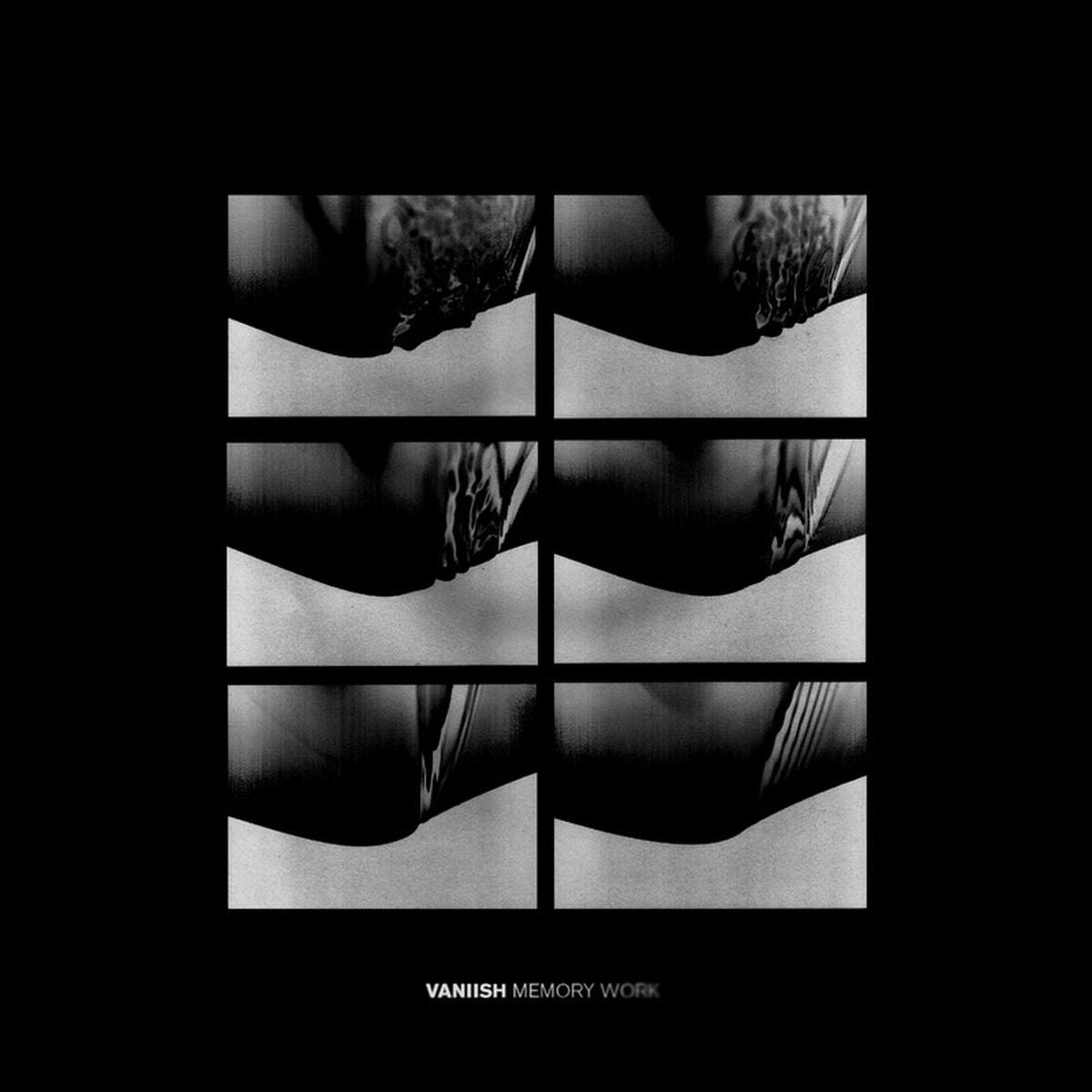 Vaniish – Memory Work vinyl record cover
