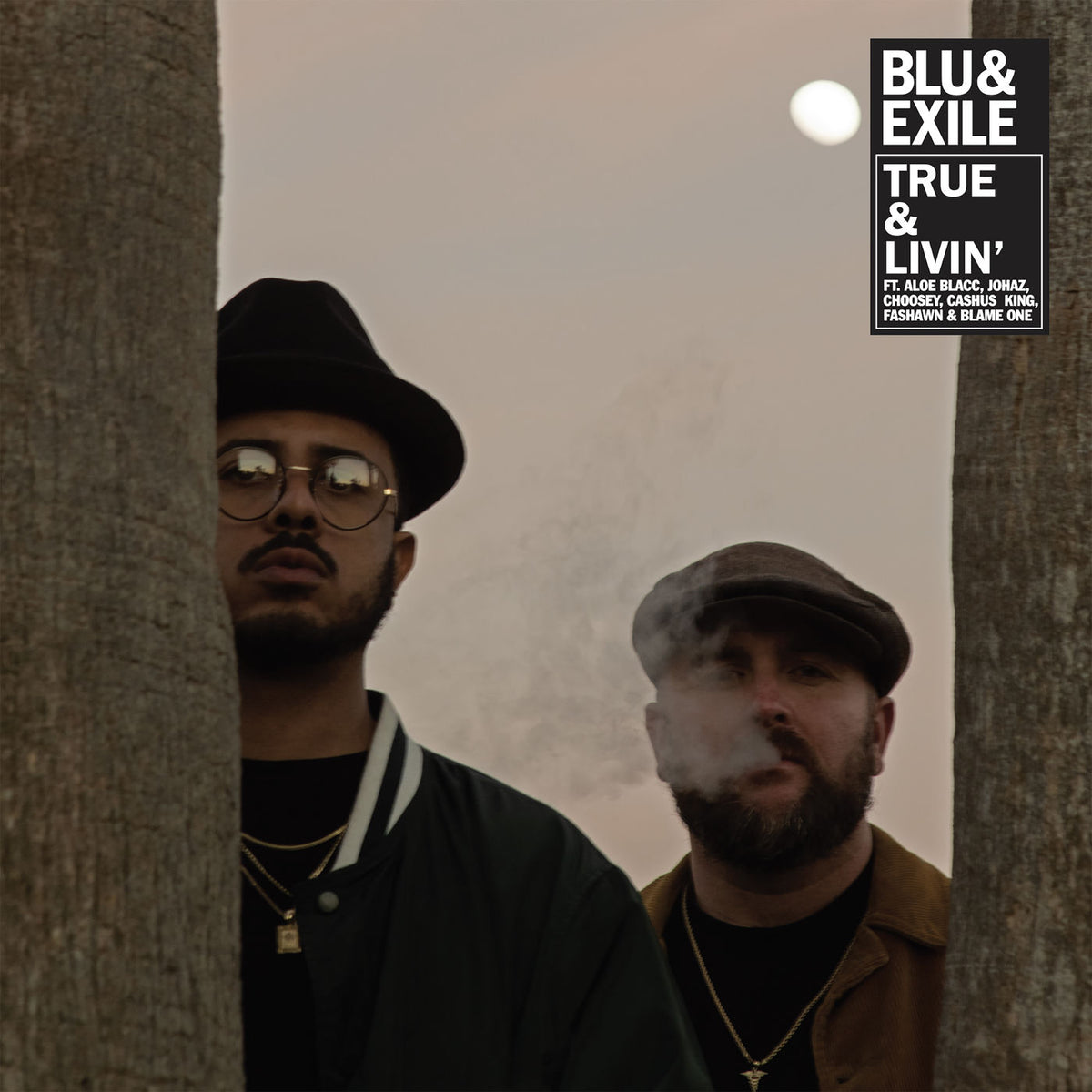 Blu & Exile – True & Livin' vinyl cover