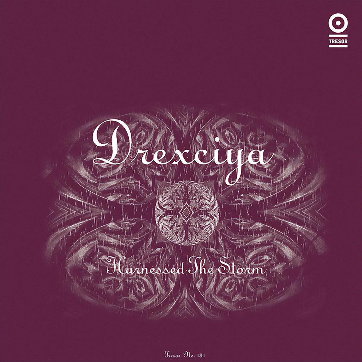 Drexciya – Harnessed the Storm vinyl cover