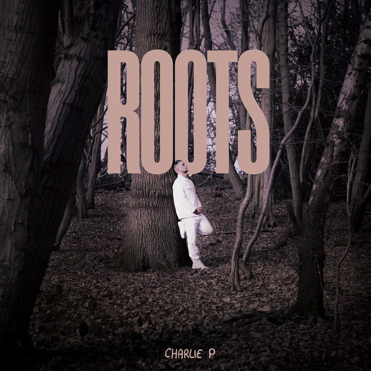 Charlie P – Roots vinyl record cover