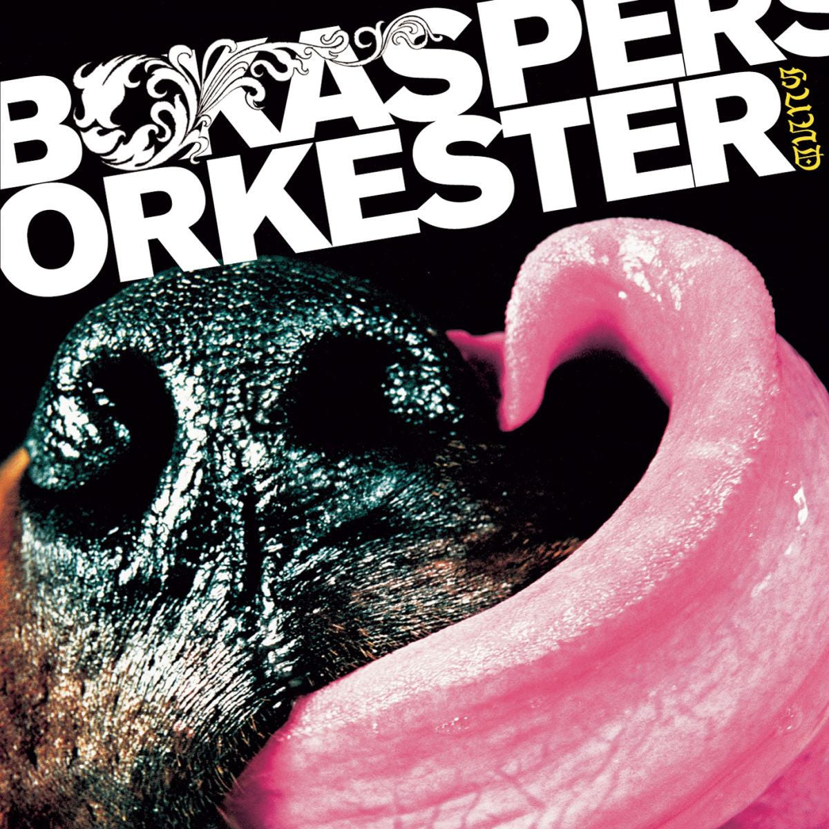 Bo Kaspers Orkester – HUND vinyl record cover