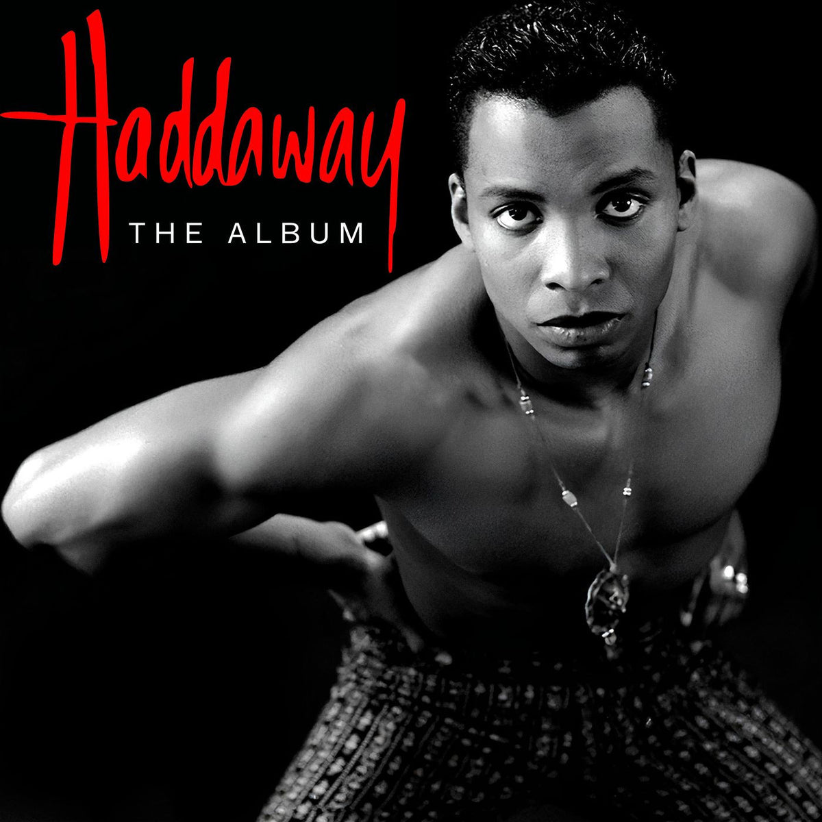 Haddaway – The Album vinyl record cover