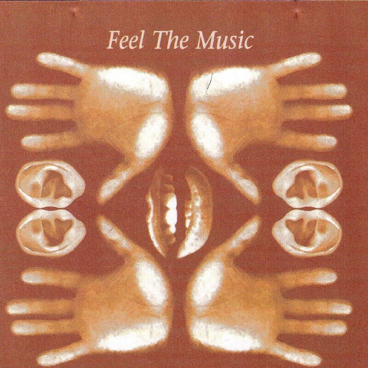 Paul Johnson – Feel The Music vinyl cover