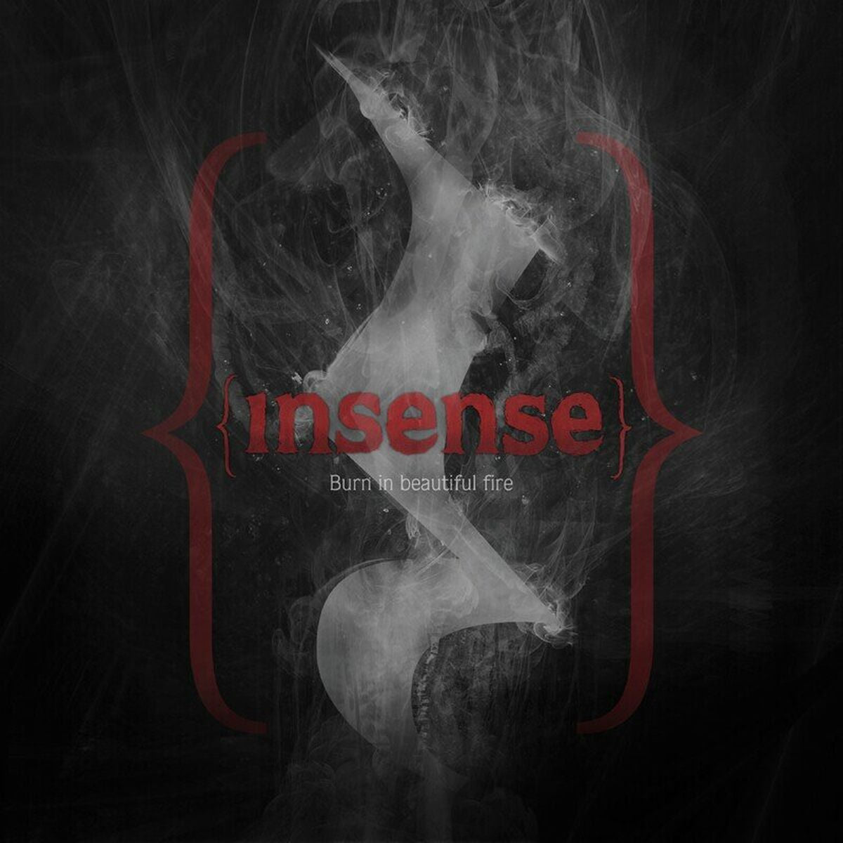 Insense – Burn In A Beautiful Fire vinyl record cover