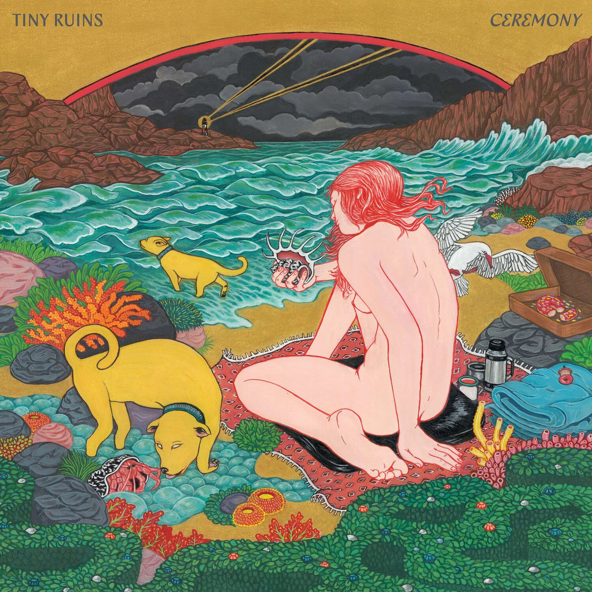 Tiny Ruins – Ceremony vinyl record cover