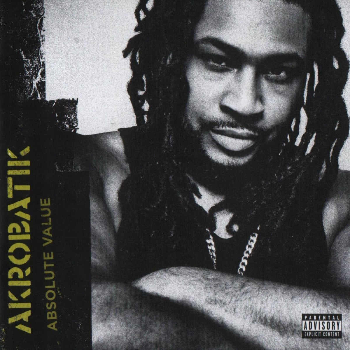 Akrobatik – Absolute Value (2 LP) vinyl record cover