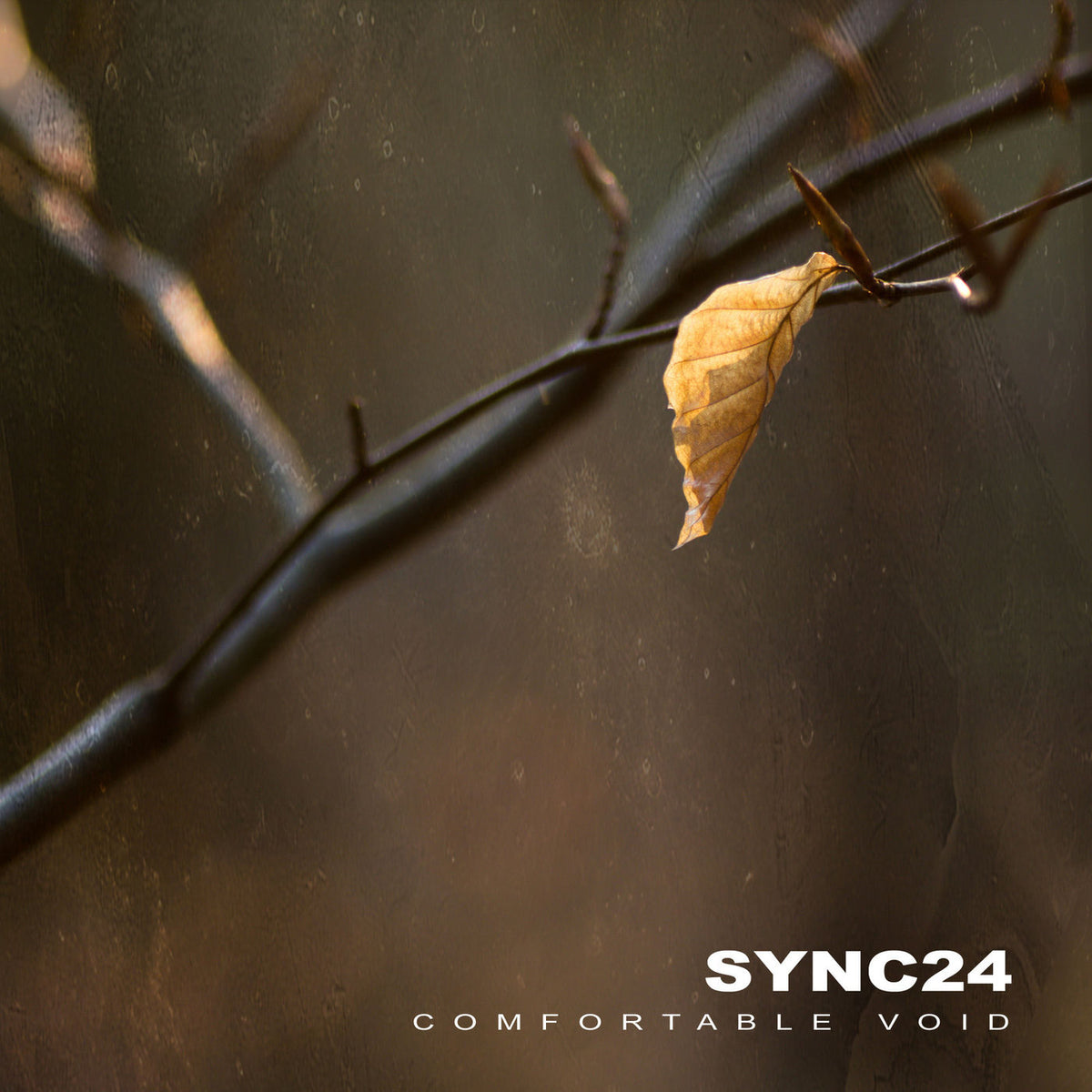 Sync24 – Comfortable Void vinyl record cover