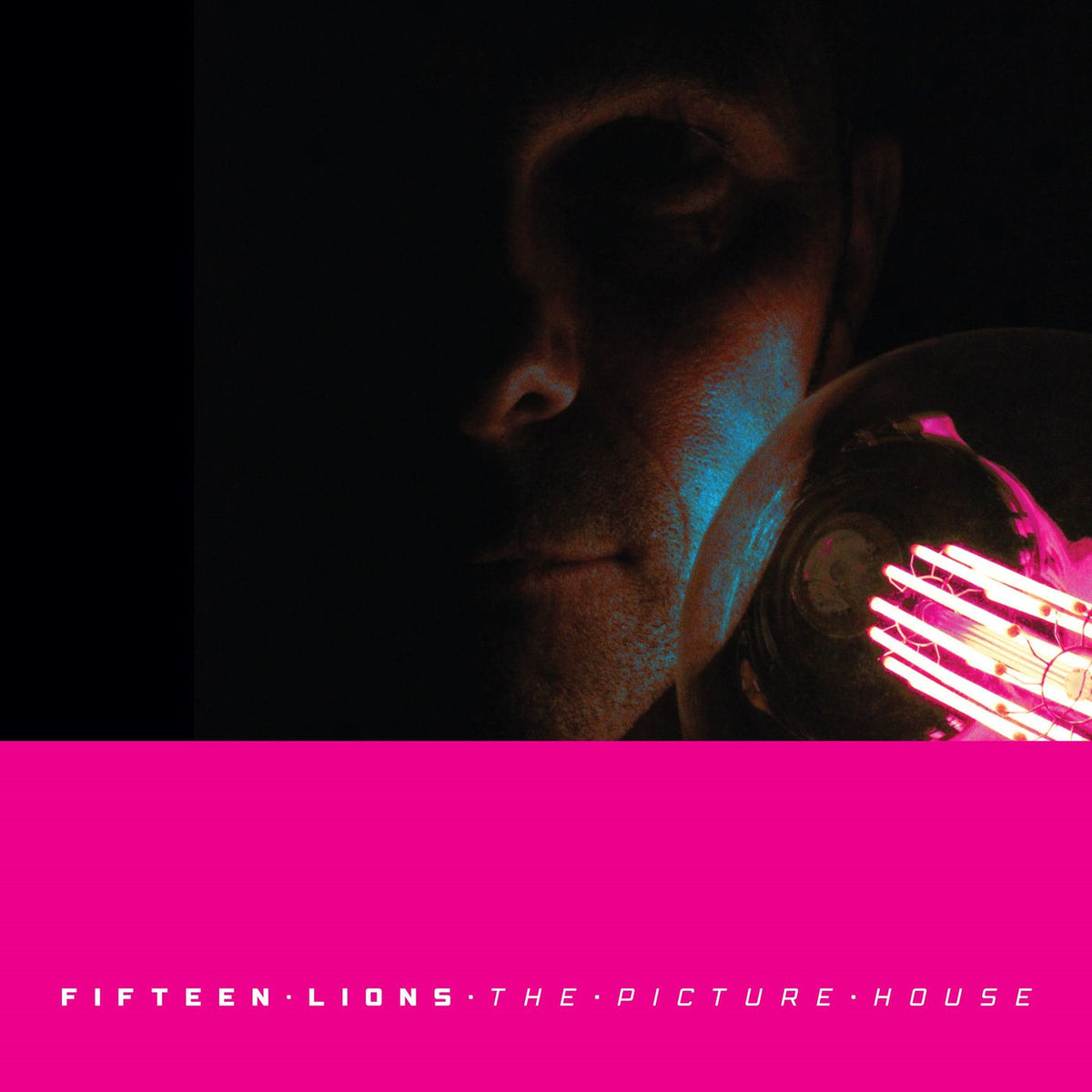 Fifteen Lions – The Picture House vinyl cover