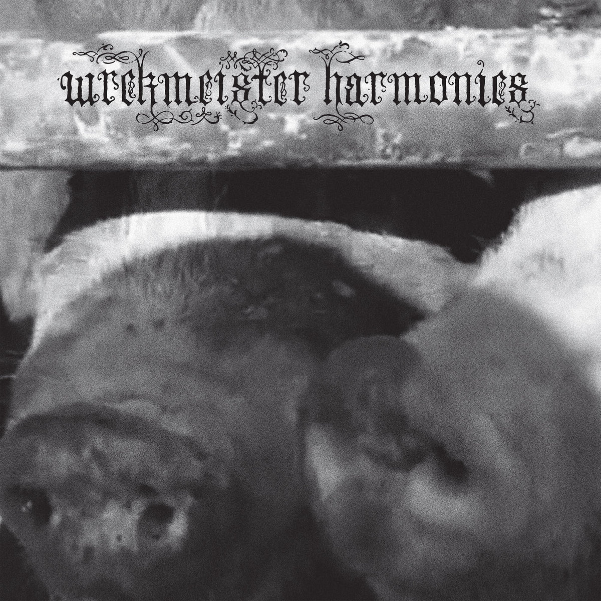 Wrekmeister Harmonies – Flowers in the Spring vinyl cover