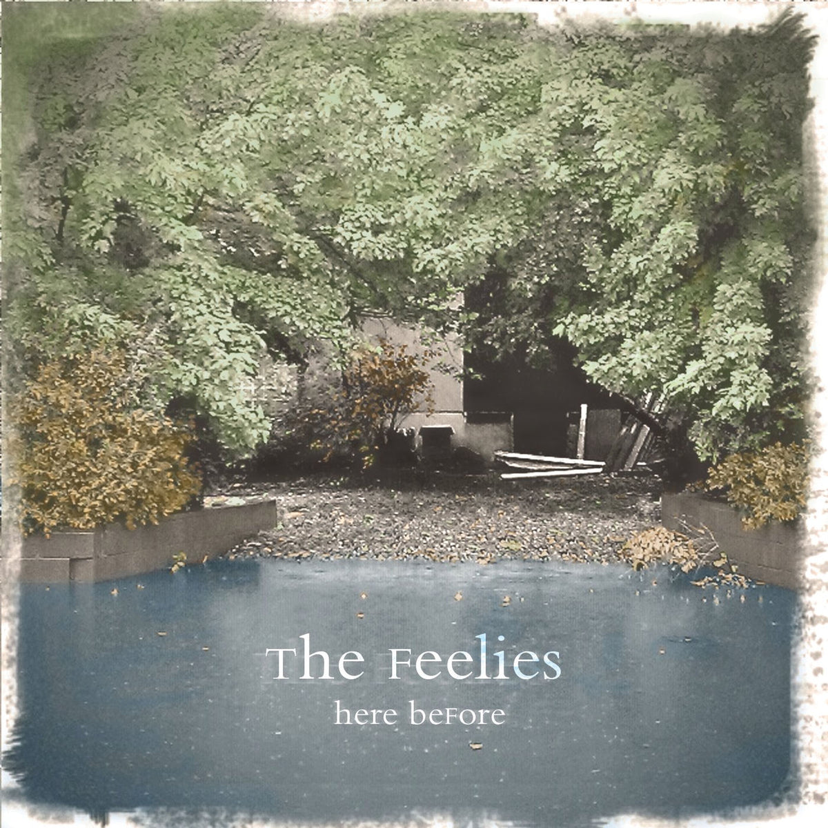 The Feelies – Here Before vinyl cover