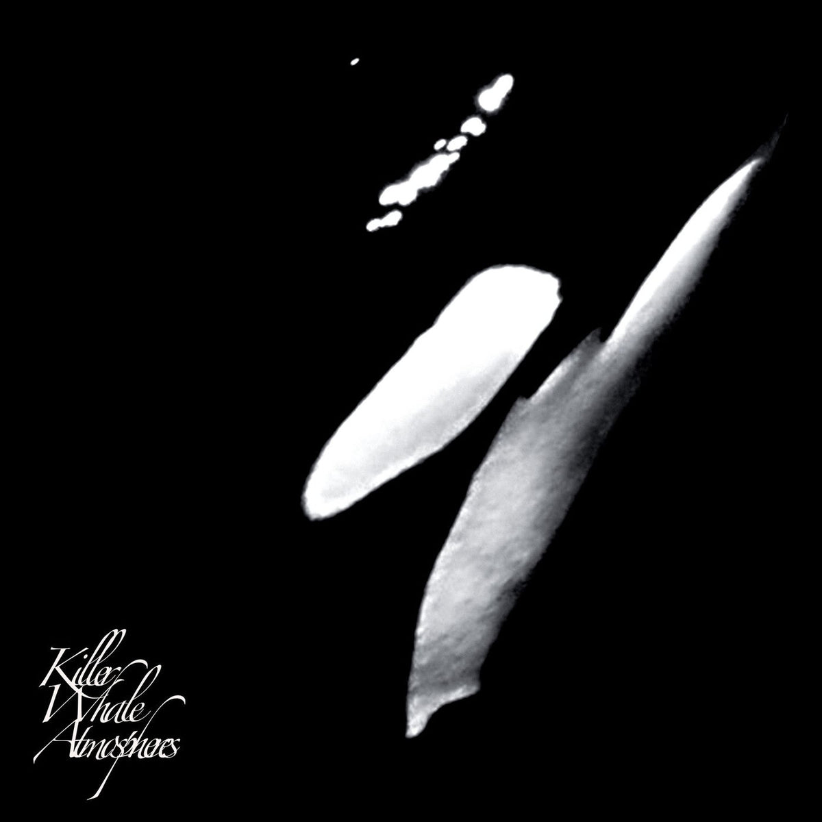 Rainforest Spiritual Enslavement – Killer Whale Atmospheres vinyl record cover
