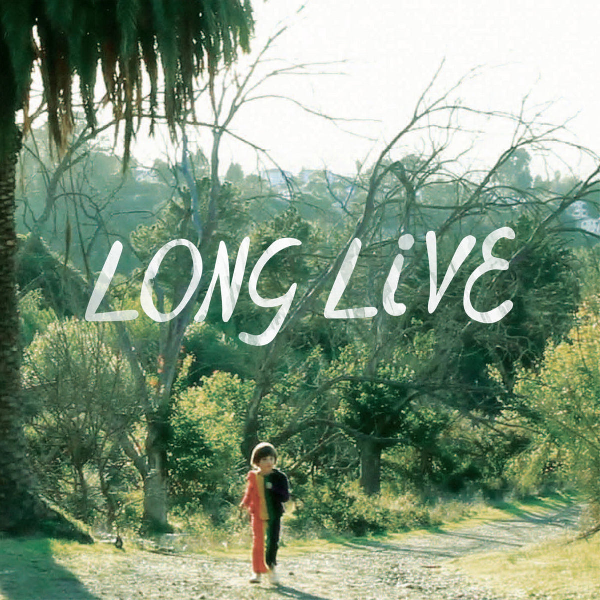 Snowblink – Long Live vinyl record cover