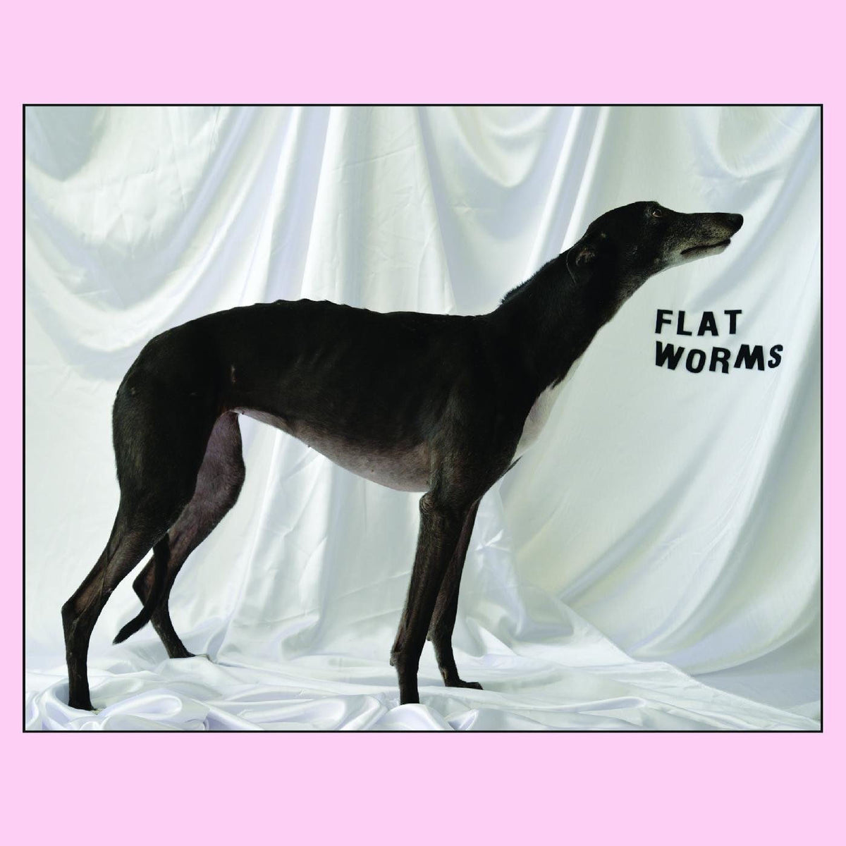 Flat Worms – Flat Worms vinyl record cover