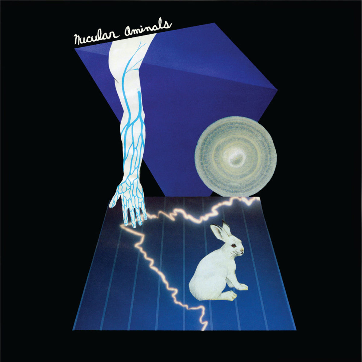 Nucular Aminals – Nucular Aminals vinyl record cover
