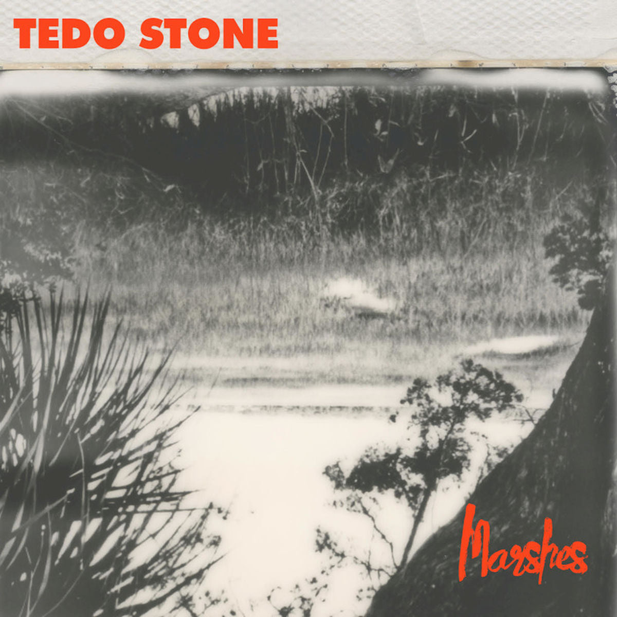 Tedo Stone – Marshes vinyl record cover