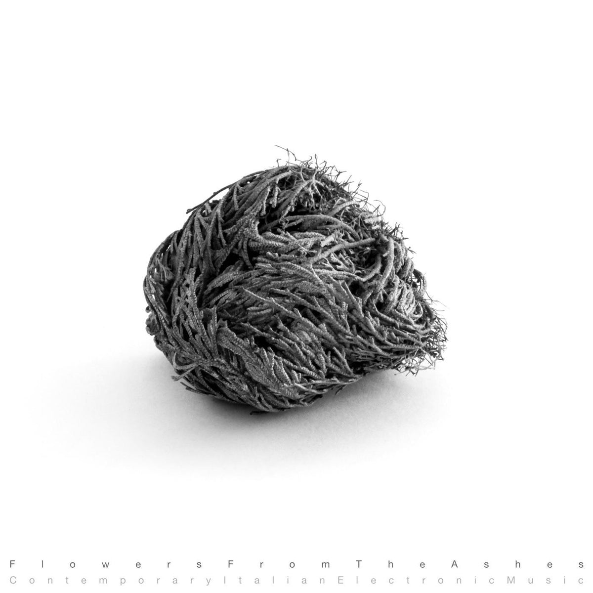 Various Artists – Flowers from the Ashes: Contemporary Italian Electronic Music vinyl cover