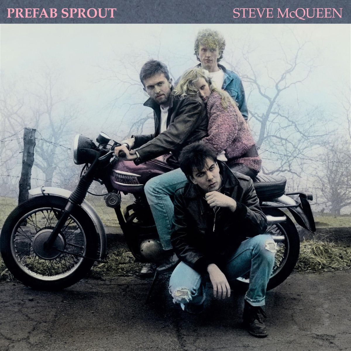 Prefab Sprout – Steve Mcqueen vinyl record cover