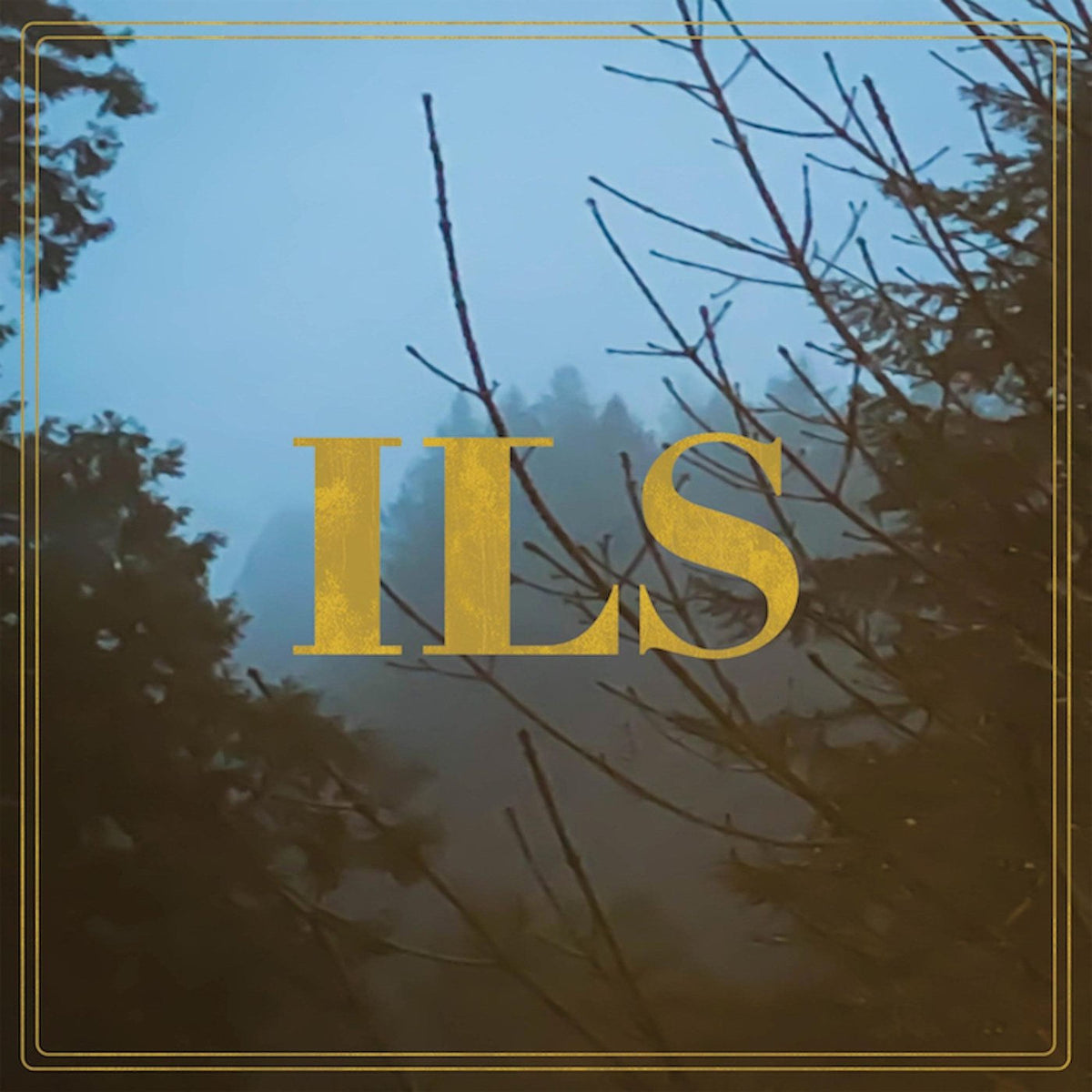 ILS – Curse vinyl record cover