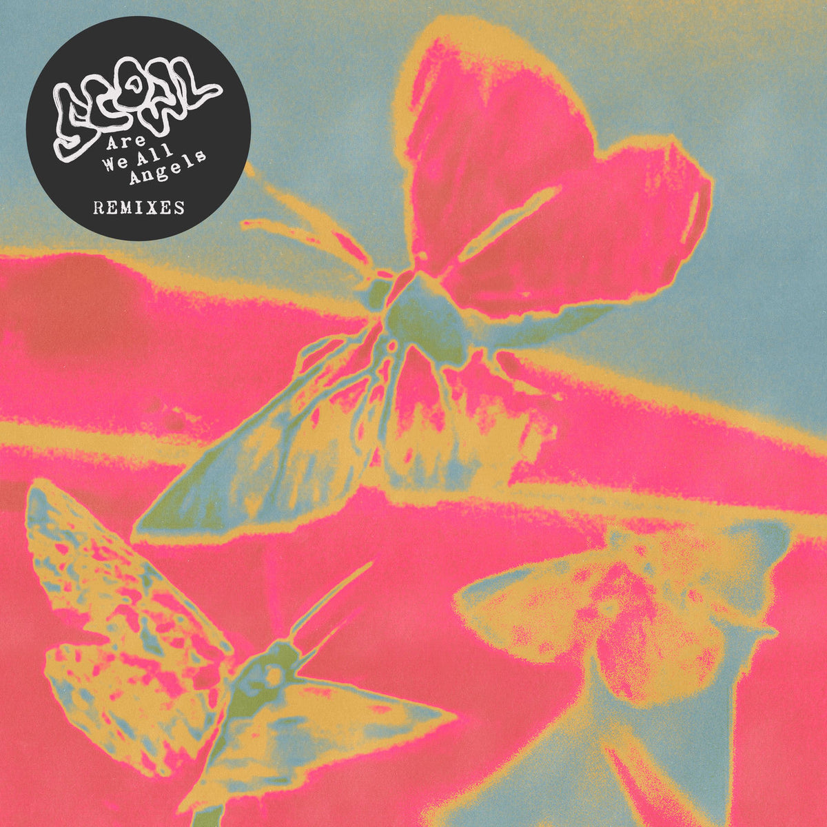 Scowl – Are We All Angels vinyl record cover