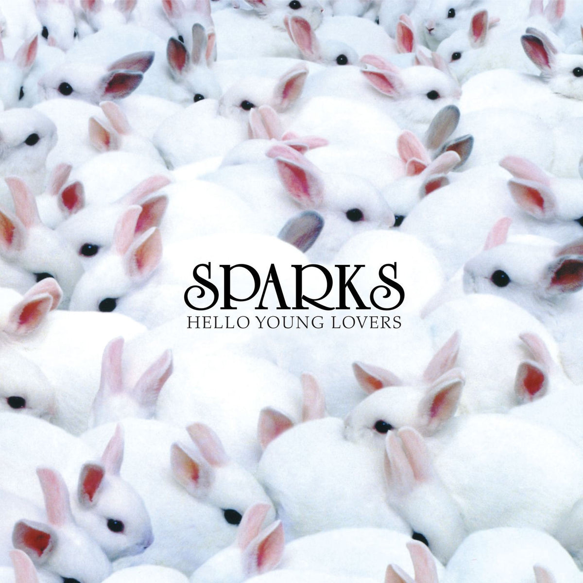 Sparks – Hello Young Lovers vinyl record cover