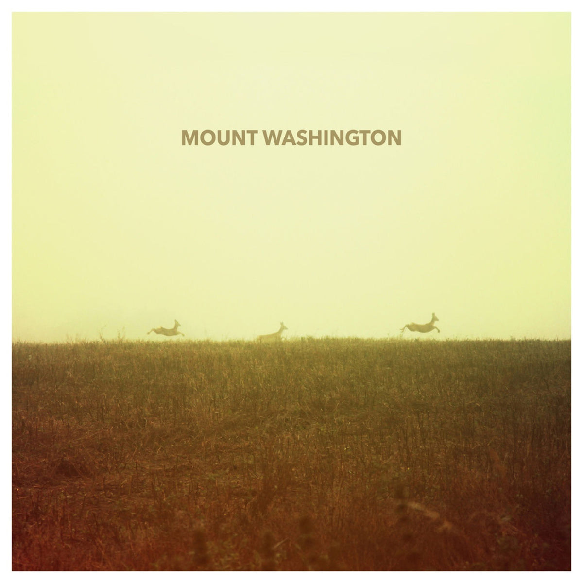 Mount Washington – Mount Washington vinyl record cover