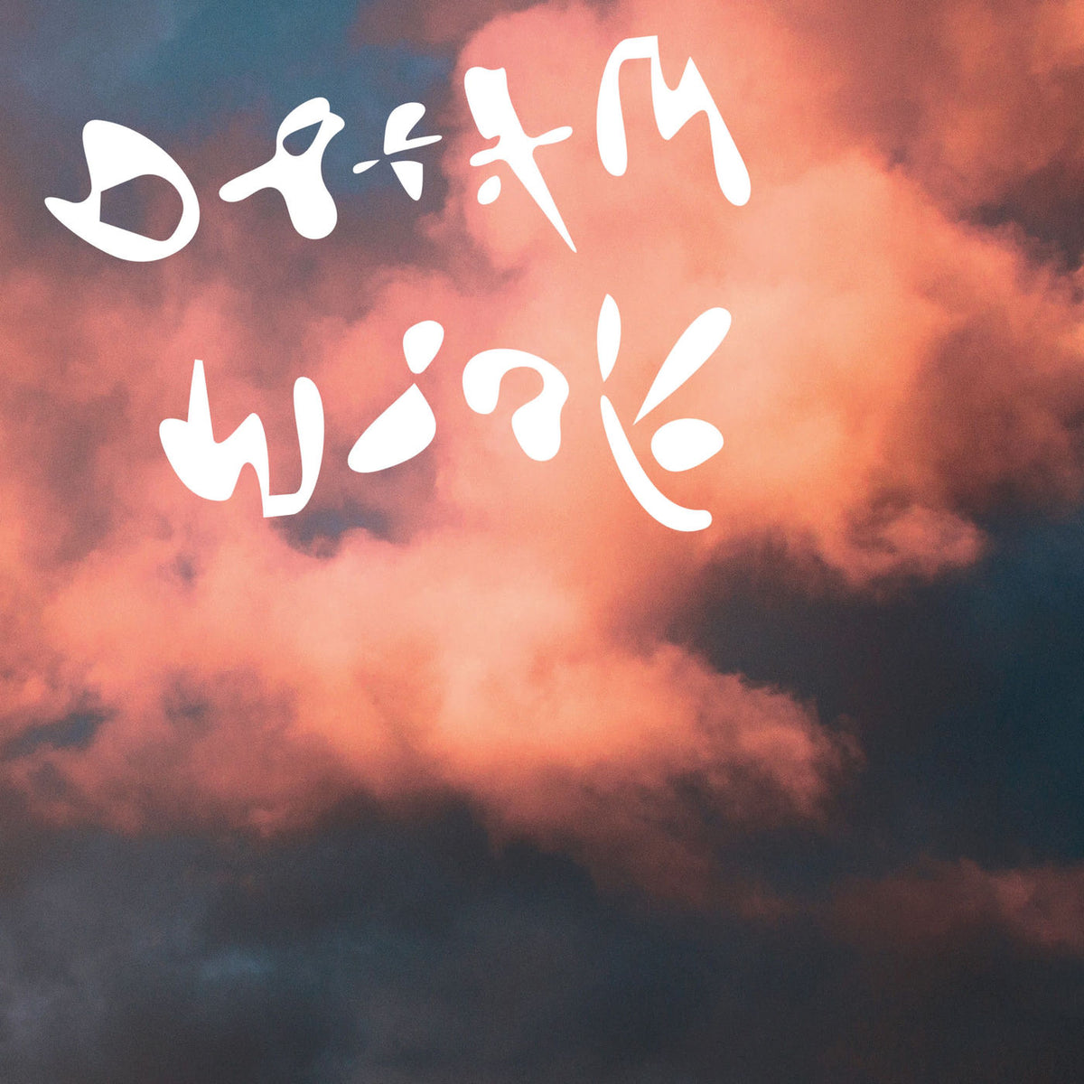 Dinner – Dream Work vinyl record cover