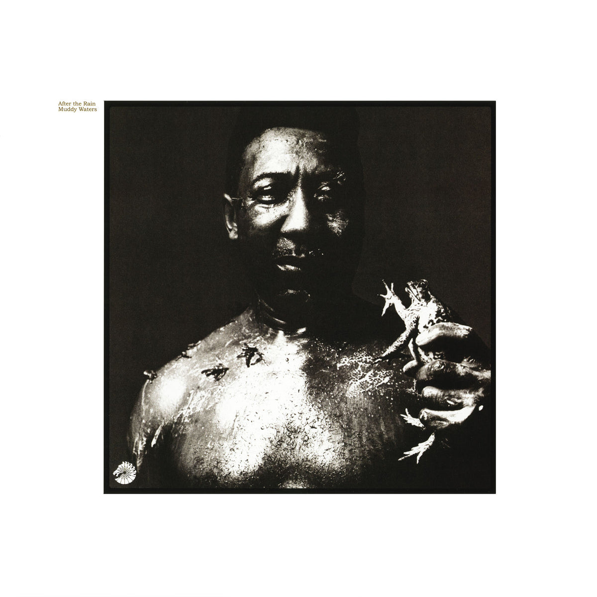 Muddy Waters – After The Rain vinyl cover
