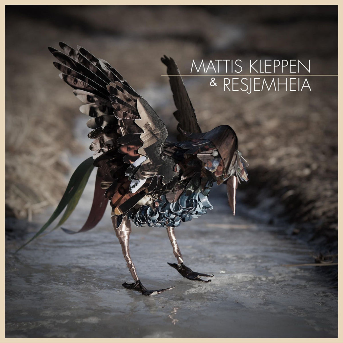 Mattis Kleppen – Resjemheia vinyl cover