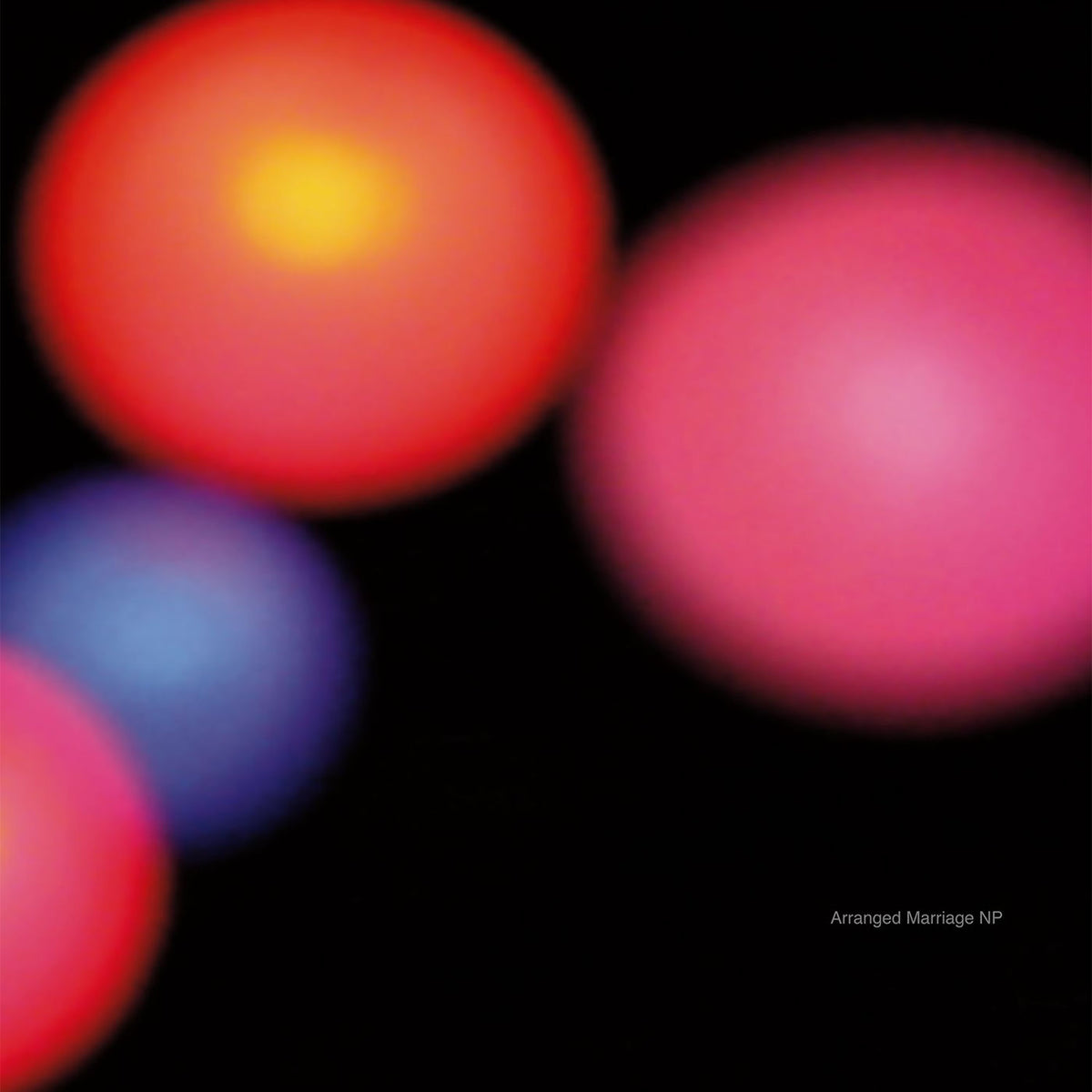 Arranged Marriage NP – Arranged Marriage NP vinyl record cover