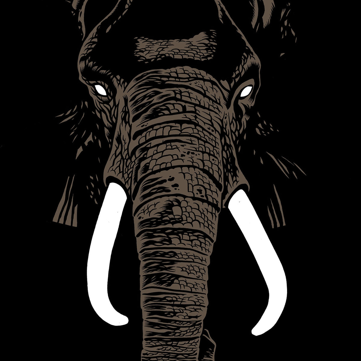 Palm Unit – Don't Buy Ivory Anymore! vinyl record cover