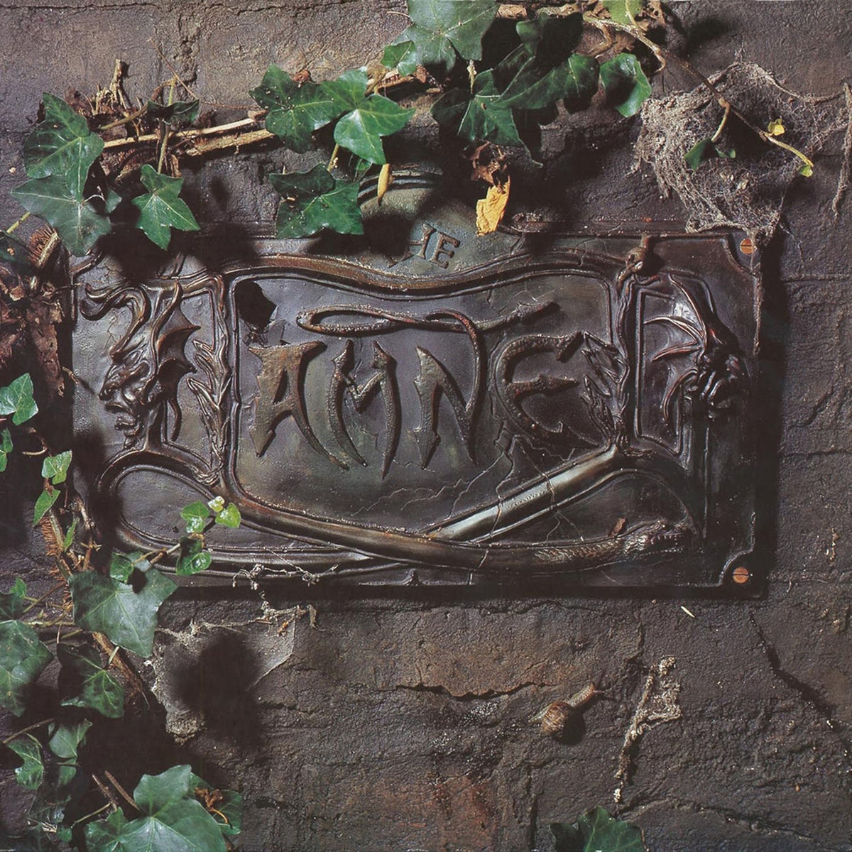 The Damned – The Black Album vinyl record cover