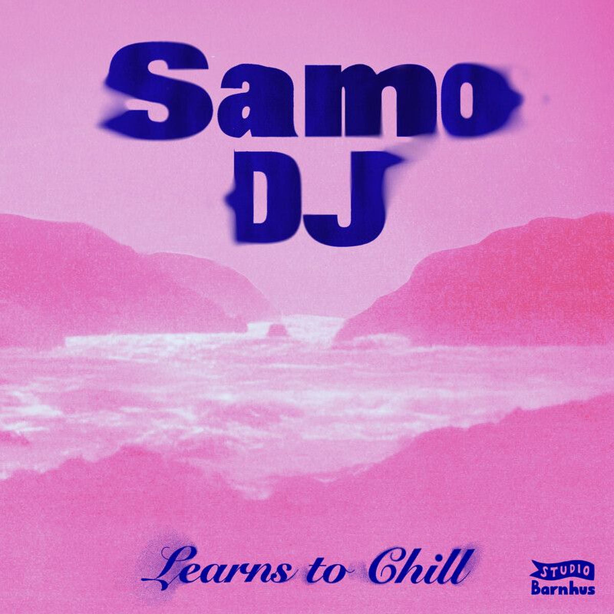 Samo DJ – Learns to Chill vinyl cover